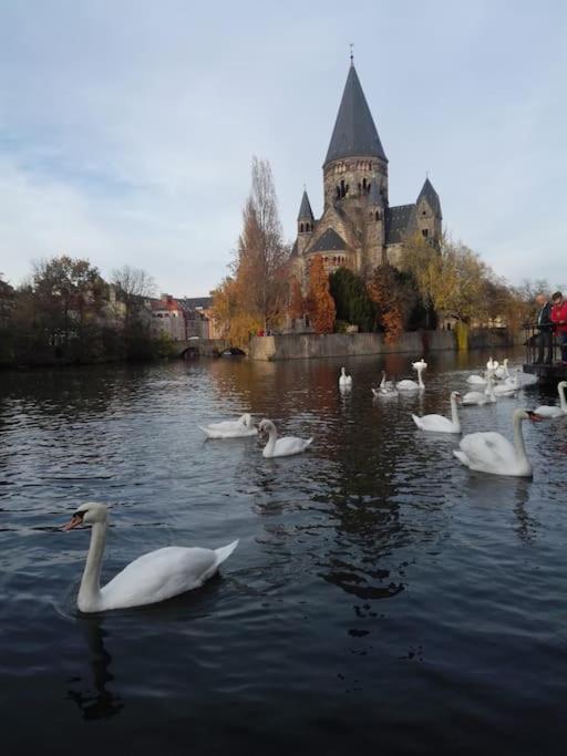 Lumineux Et Cosy, Avec Parking, 2 Mn Gare, 2Mn Muse, 5Mn Centre Apartment Metz Luaran gambar